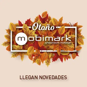 waas amgerpro proyecto Mobimark-otoño
